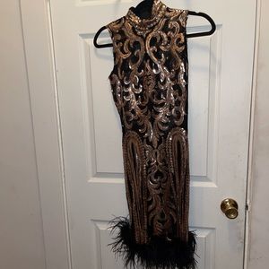 Dress from fashion nova